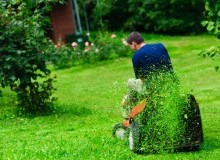 Kwikfynd Lawn Mowing
millicent
